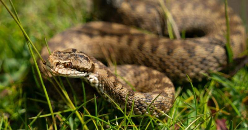 Pexels/ CatalinBuescu